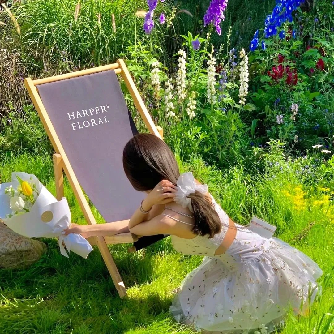 加州圣诞：旧金山的灯光